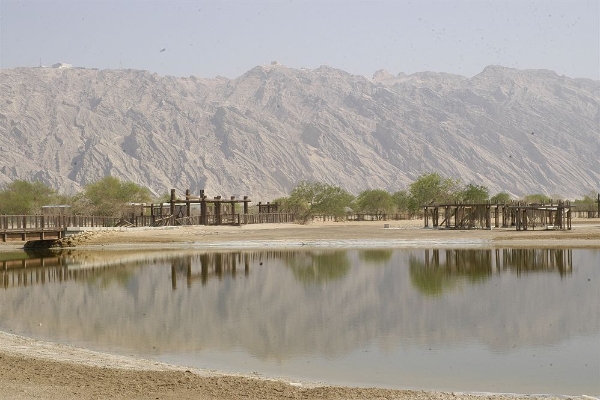 Ain Al Faida One To One Hotel and Resort (Al Ain)